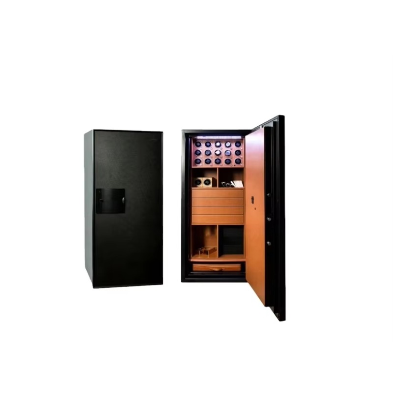Fireproof and Anti-theft Home  - Luxury Watch Safe ulasan dan harga